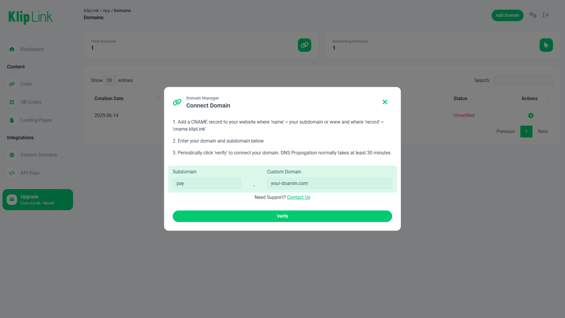 KlipLink DNS Verification Screenshot